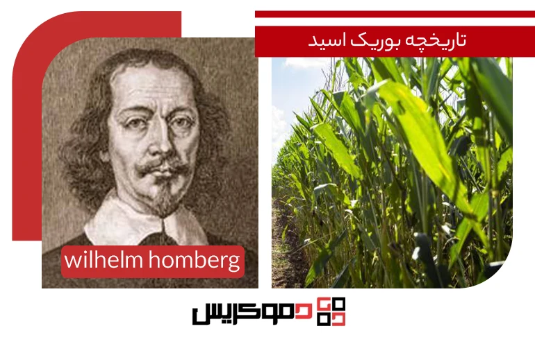 تاریخچه اسید بوریک