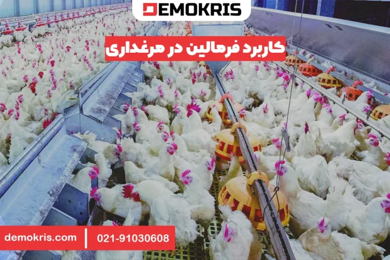 کاربرد فرمالین در مرغداری - دموکریس