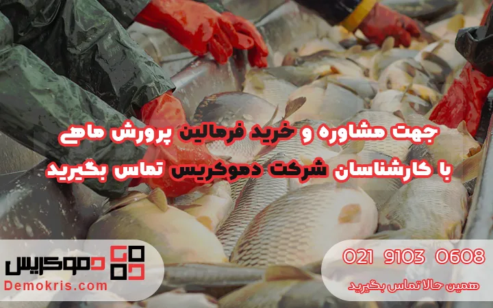 خرید فرمالین پرورش ماهی - دموکریس
