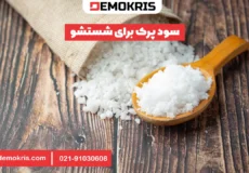 سود پرک برای شستشو - دموکریس