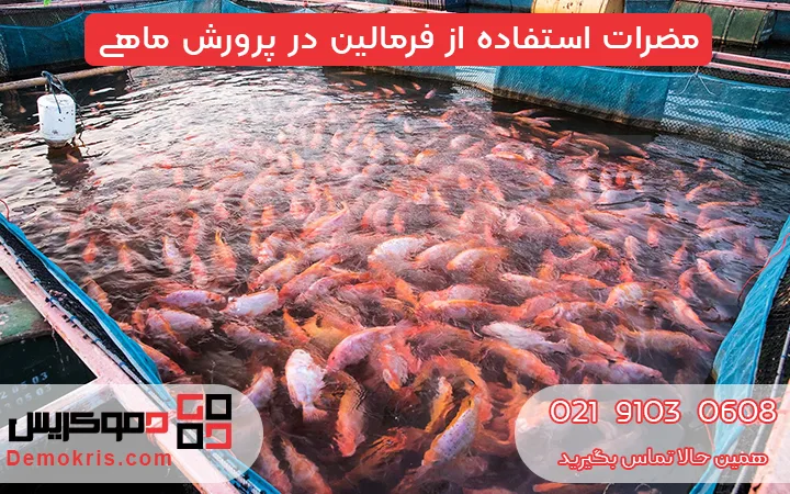 مضرات استفاده از فرمالین در پرورش ماهی - دموکریس