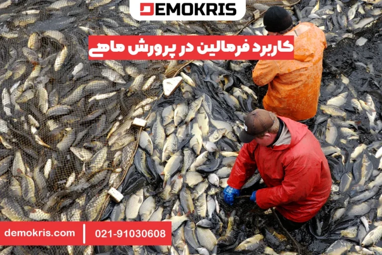 کاربرد فرمالین در پرورش ماهی - دموکریس