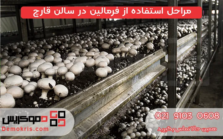 مراحل استفاده از فرمالین در سالن قارچ - دموکریس