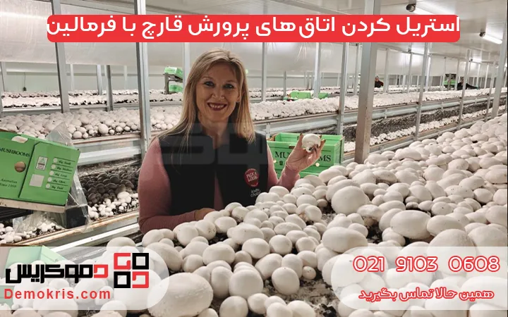  استریل کردن اتاق‌های پرورش قارچ با فرمالین - دموکریس