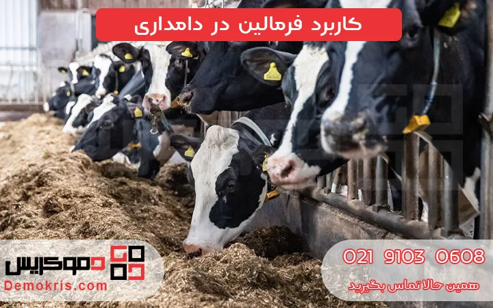 کاربرد فرمالین در دامداری - دموکریس