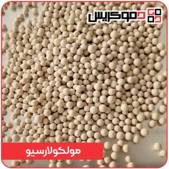 مولکولارسیو - دموکریس