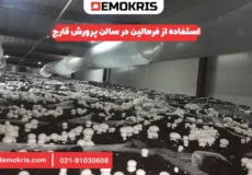 استفاده از فرمالین در سالن پرورش قارچ - دموکریس