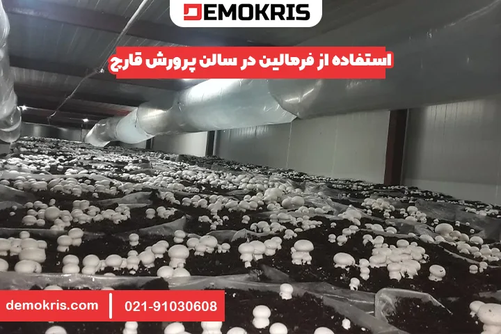 استفاده از فرمالین در سالن پرورش قارچ - دموکریس