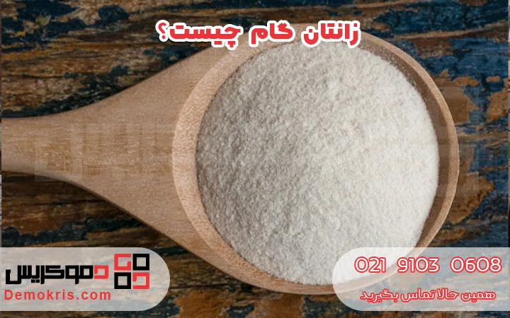 زانتان گام چیست - دموکریس