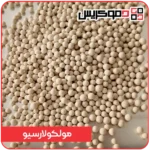 مولکولارسیو
