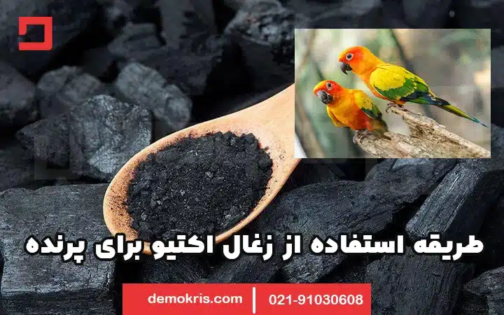 زغال اکتیو برای پرنده 15 طریقه استفاده از زغال اکتیو برای پرنده - دموکریس