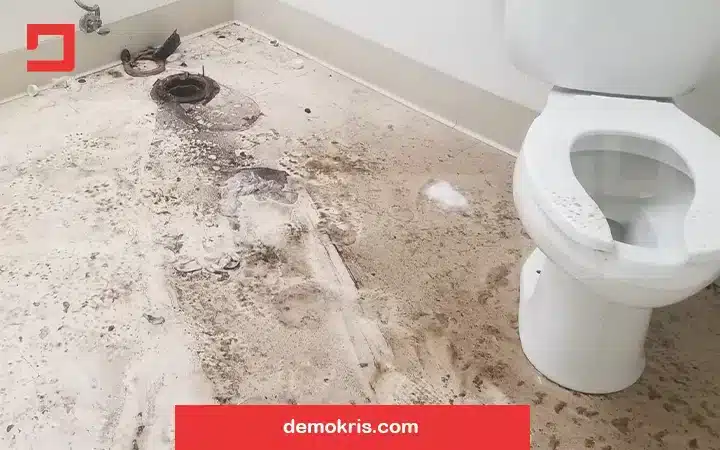 رفع گرفتگی چاه توالت با مدفوع - دموکریس