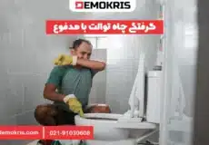 گرفتگی چاه توالت با مدفوع - دموکریس