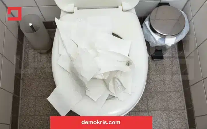 نقش دستمال در گرفتگی چاه توالت با مدفوع - دموکریس